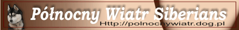 http://free.of.pl/p/polnocny_wiatr