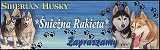 http://www.husky.of.pl/