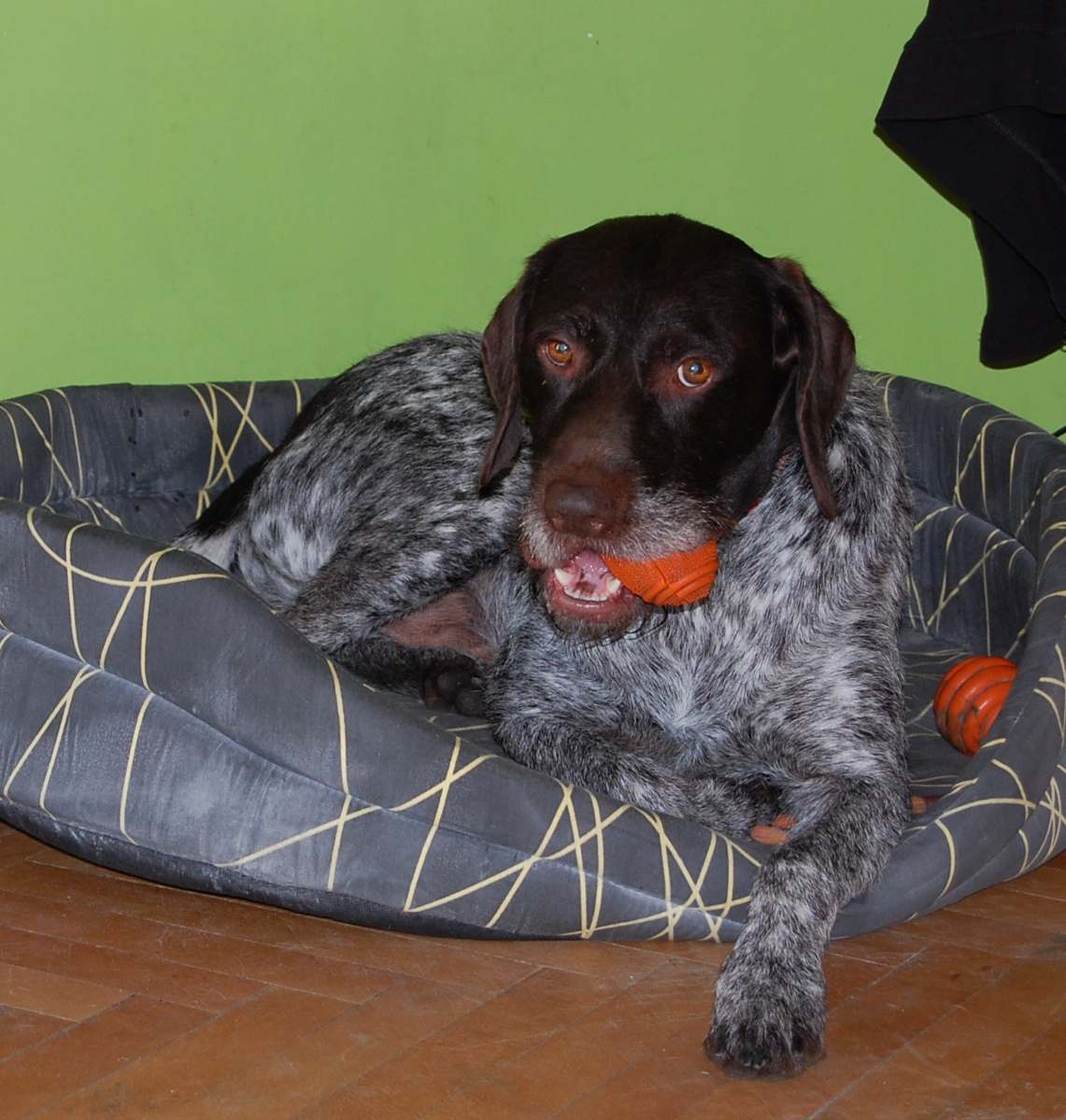 Oskar