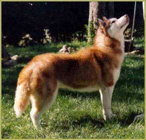 [Rozmiar: 25520 bajt�w]