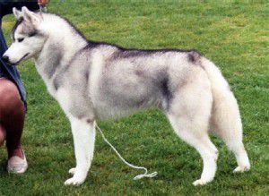 [Rozmiar: 19744 bajt�w]