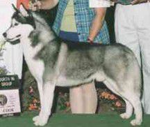 [Rozmiar: 10364 bajt�w]