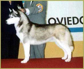 [Rozmiar: 20425 bajt�w]