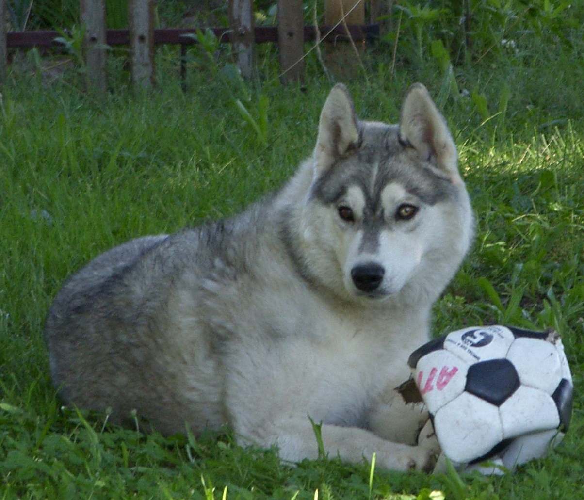 C�rka Szamana - BEATRICE z Kociej Mafii