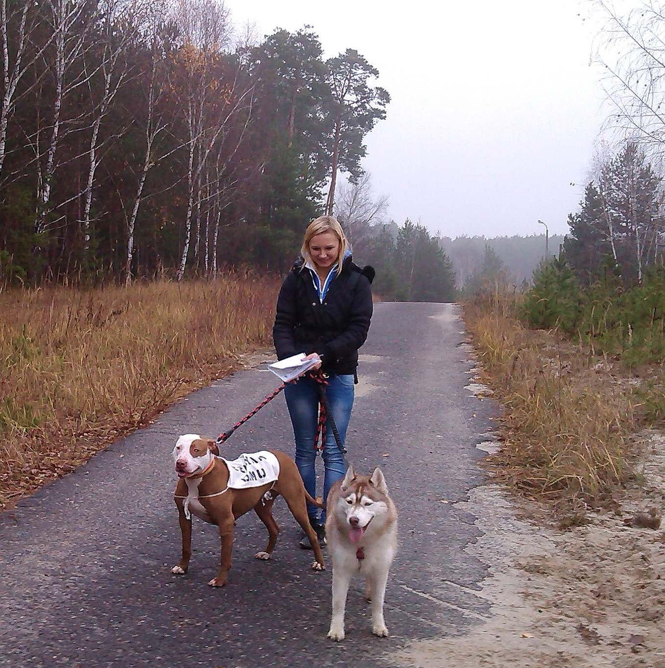 Dogorient 2013, fot.M.Krzemi�ska