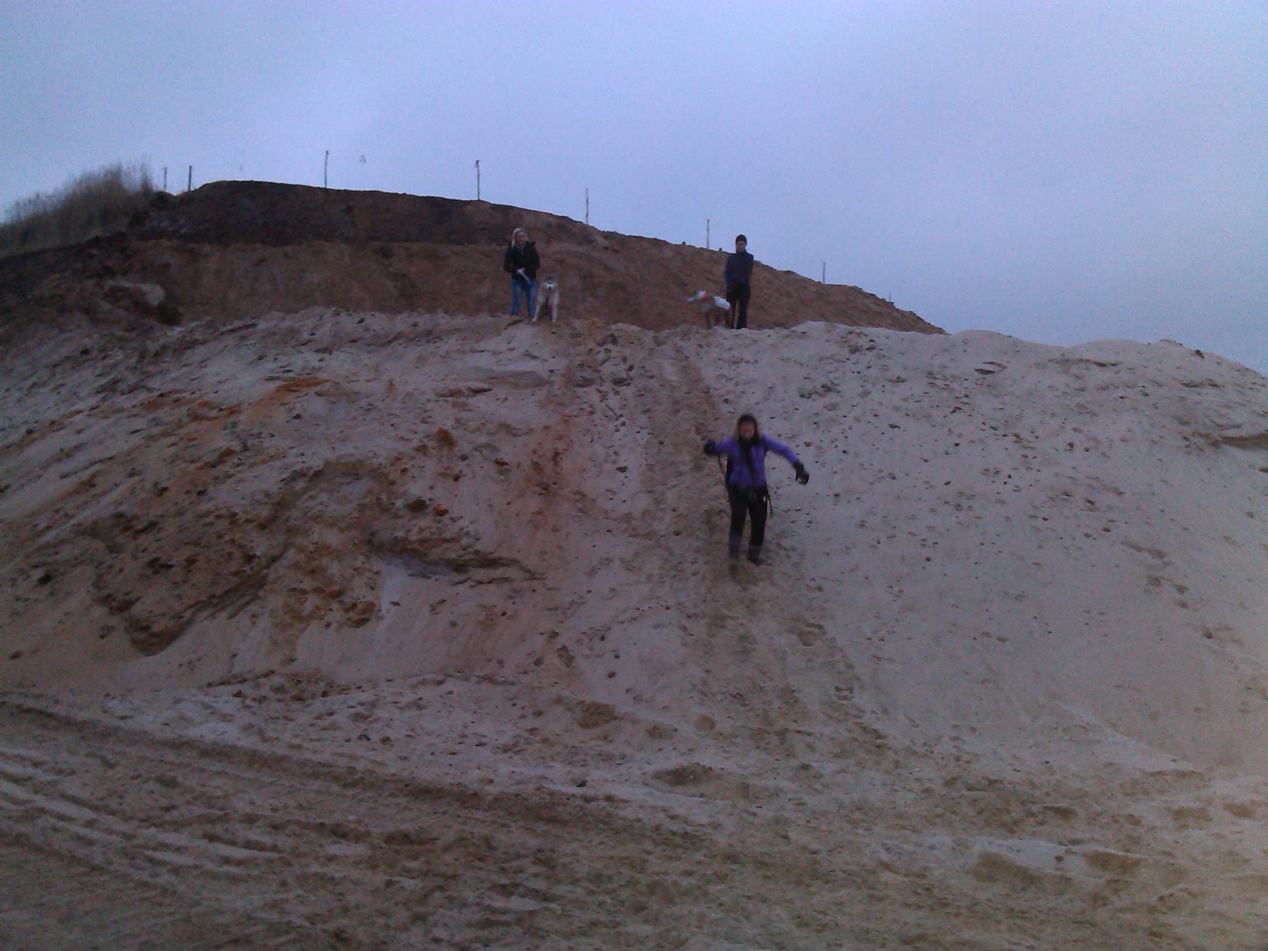 Dogorient 2013, fot.M.Krzemi�ska