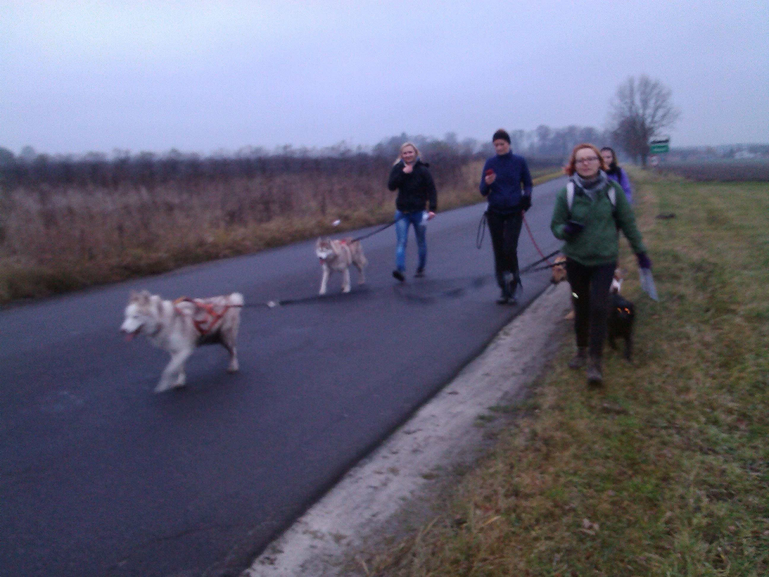 Dogorient 2013, fot.M.Krzemi�ska