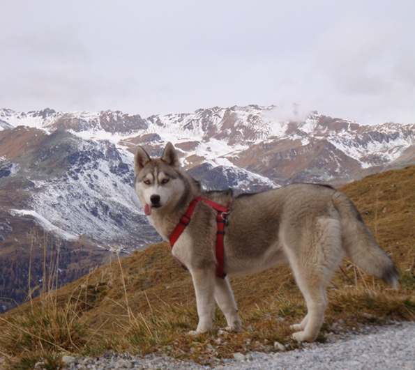 LILLY from Snow Cottage