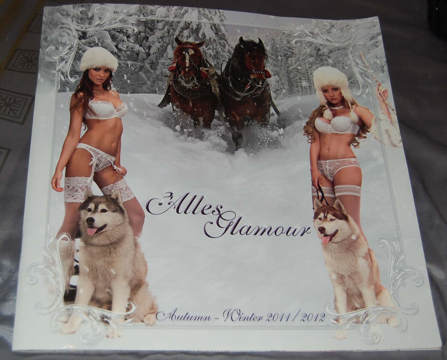 ALEX z Kociej Mafii FCI - &nbsp;Zora&nbsp;