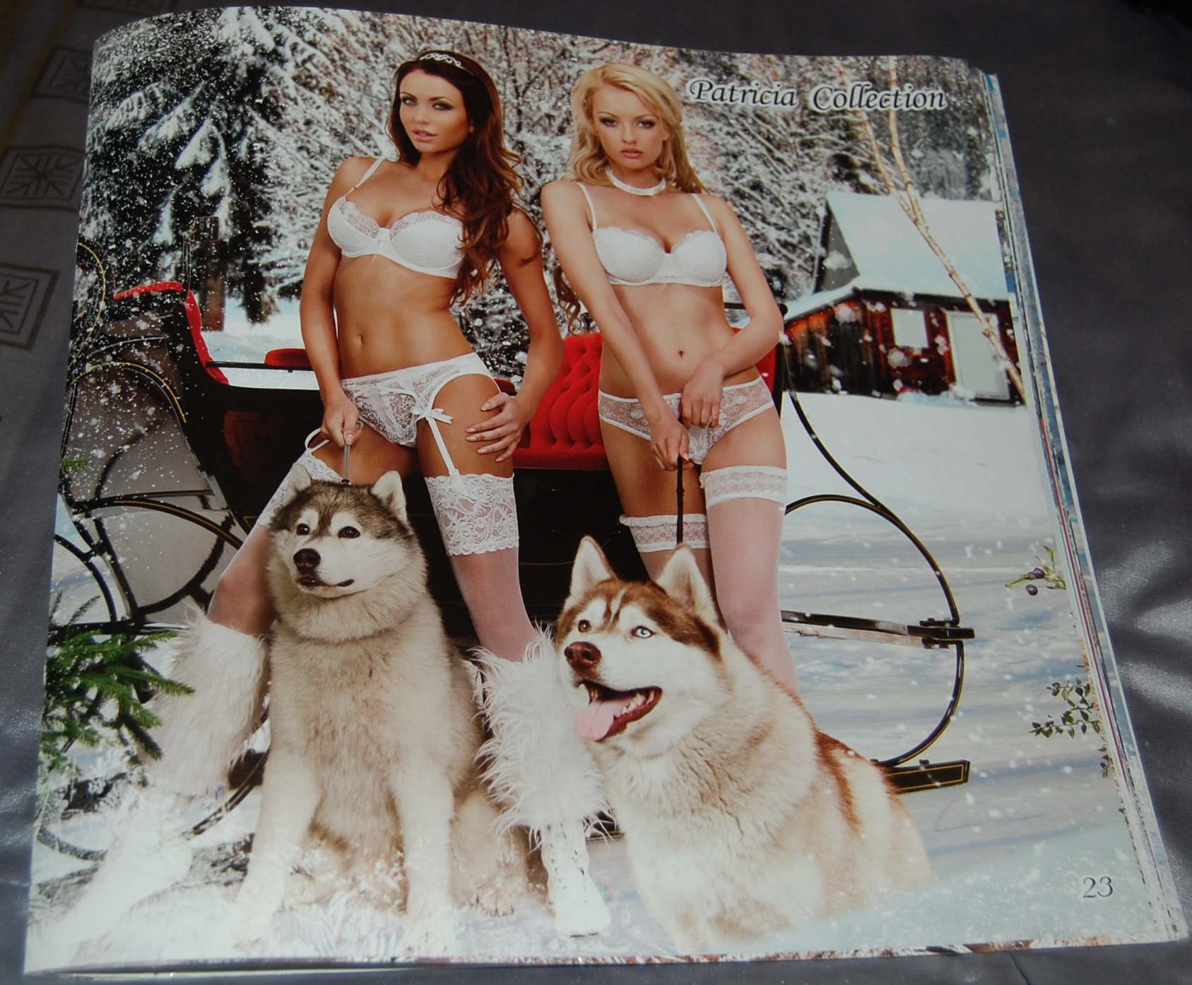 ALEX z Kociej Mafii FCI - &nbsp;Zora&nbsp;