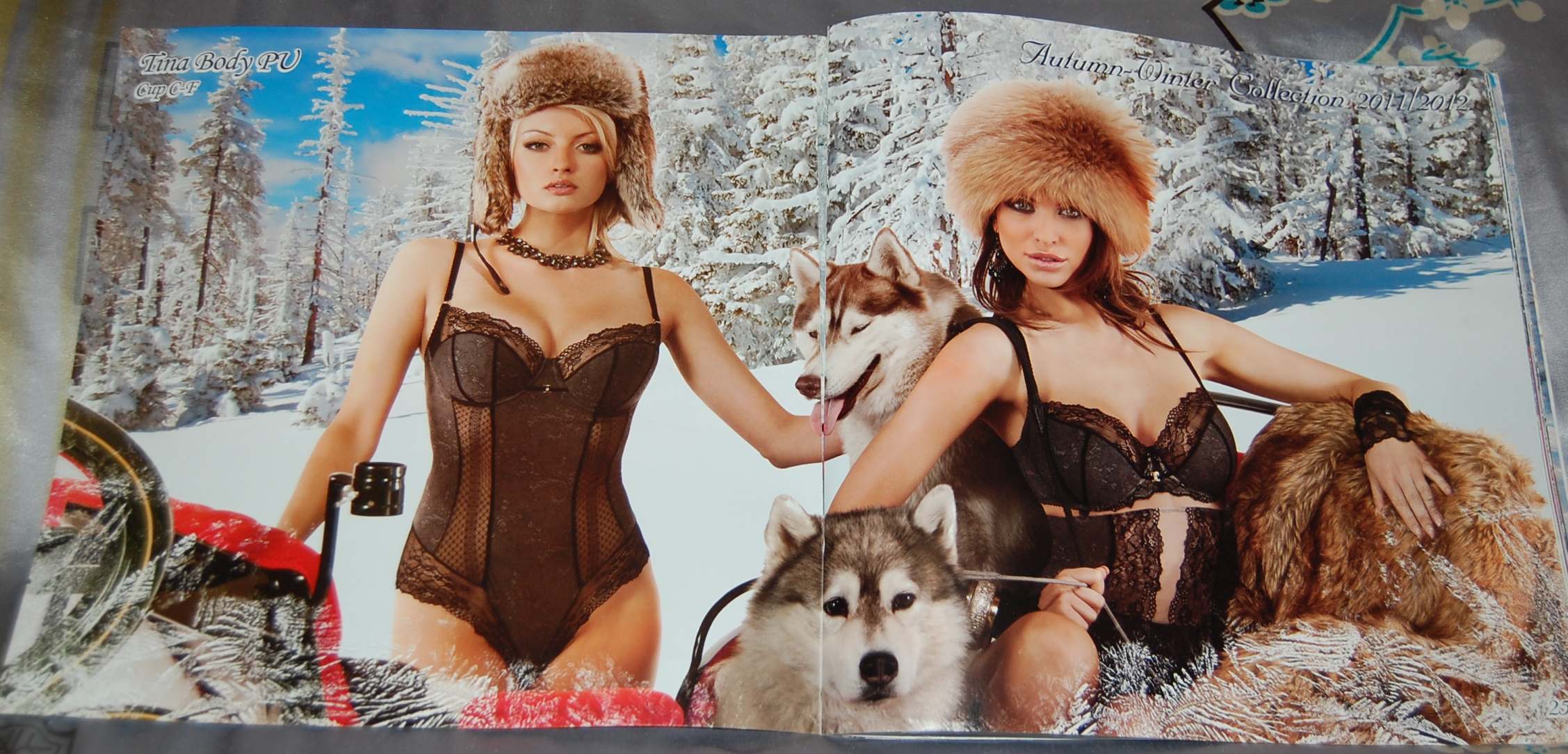 ALEX z Kociej Mafii FCI - &nbsp;Zora&nbsp;