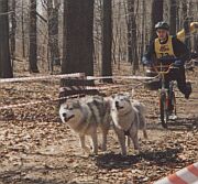 Start I dnia na zawodach "ProPac Cup" - Artur�wek 2006, fot.Piotr Kaczmarek