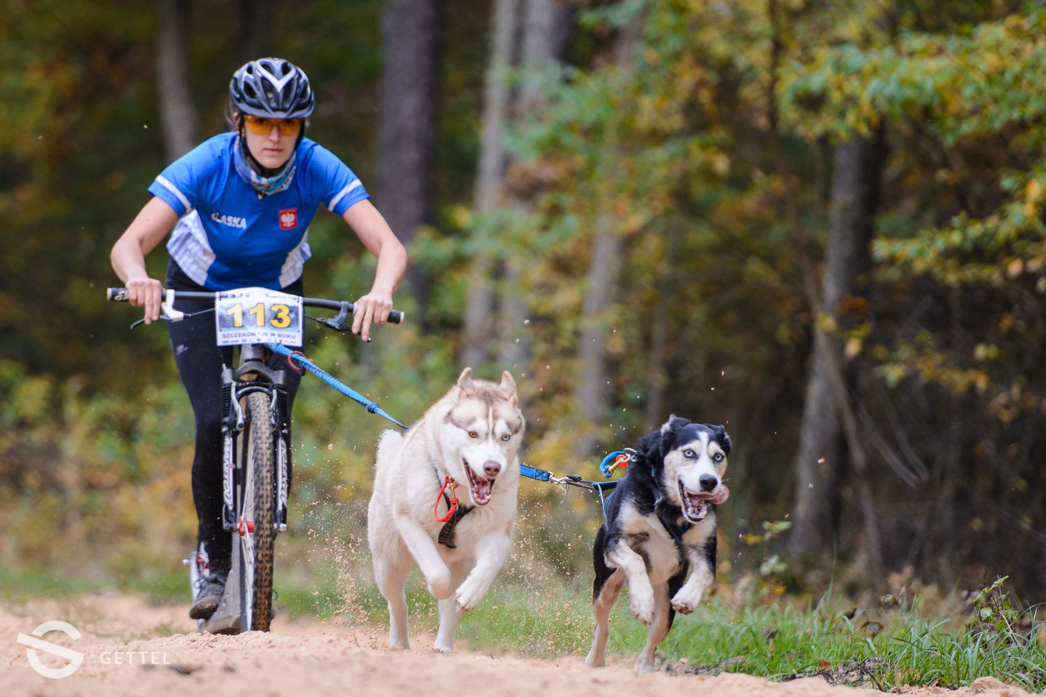 BLUSSY - ELF ROSSETIA Sleed Dogs and WHISPER, fot.Izabela Gettel