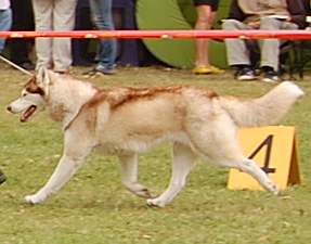 ALEX z Kociej Mafii, fot.Paulina Matusiak