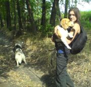 "ODRZANKA" - DOGTREKKING, fot.Kamila Mielczarek