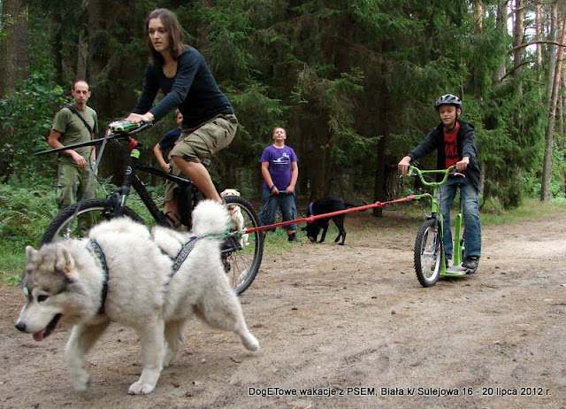 Szaman, DogETowe wakacje z psem