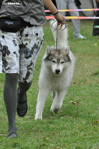 Szaman, fot.�aneta �muda-Kozina