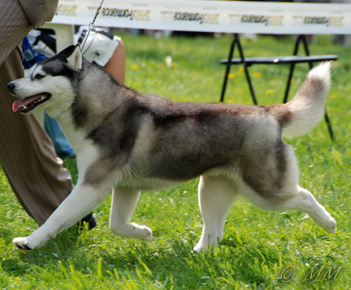 HAPPY HILARY Eskimoski Domek