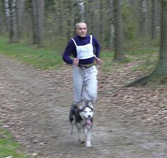 P.�y�a - Canicrossowiec na trasie.