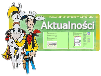 Stajnia na Olechowie - www.stajnia.olechow.glt.pl