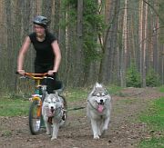 "�ladem psich �ap..." - Kucoby 2006, fot.Malwina Plichta