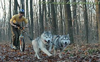 Waldemar Stawowczyk na Mistrzostwach Polski Dryland 2006, fot.Monika Stawowczyk