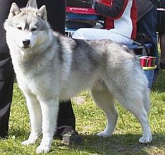 Szaman, fot.�aneta �muda-Kozina