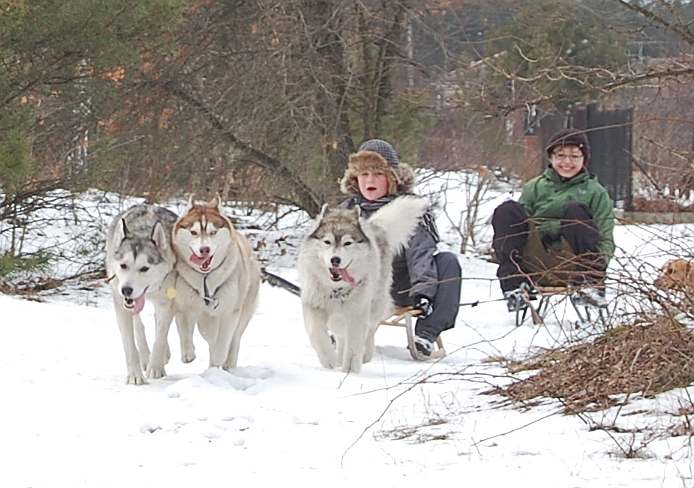 Zimowy kulig, fot.M.Krzemi�ska