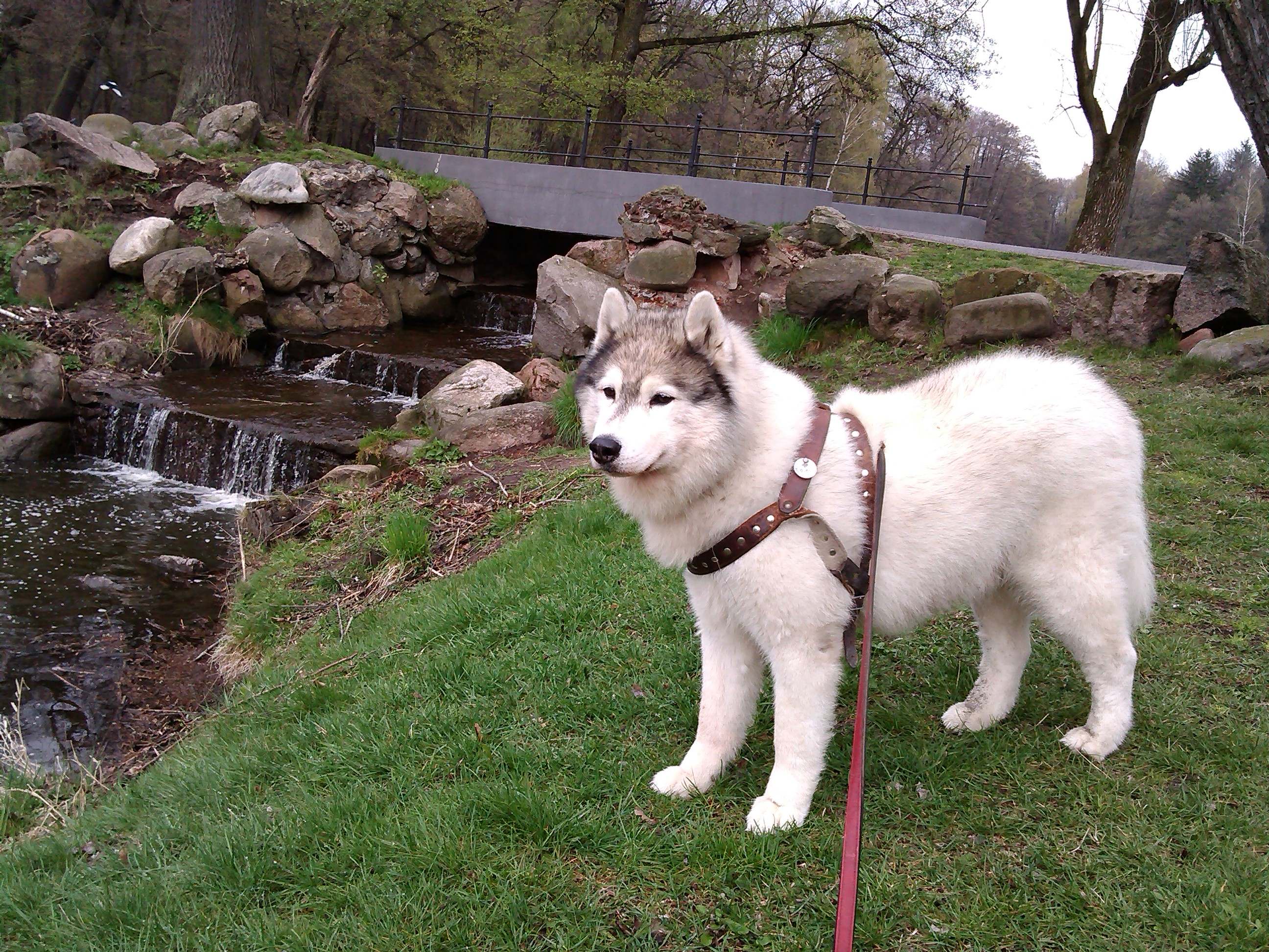 Szaman - urodzinowy spacer