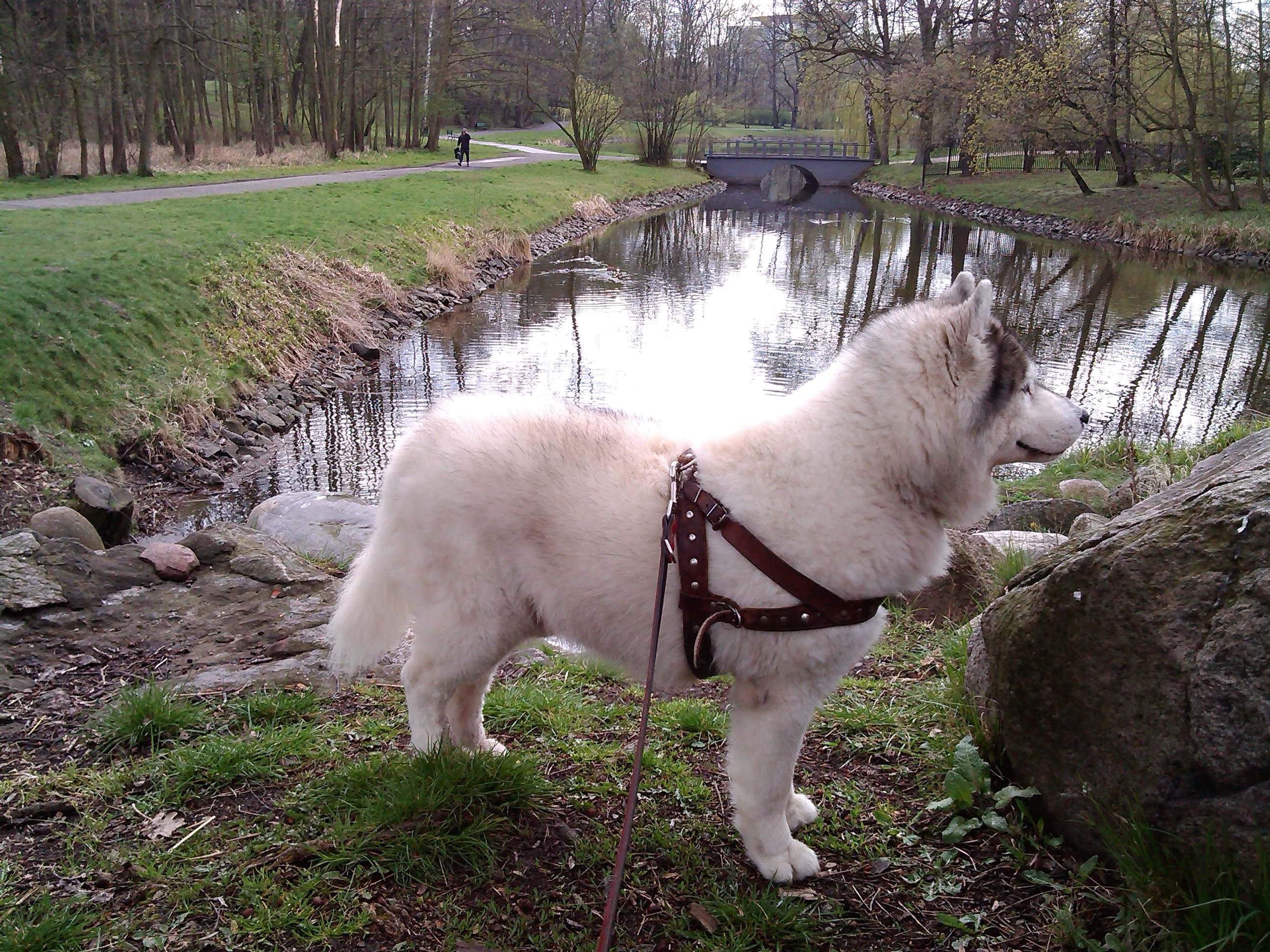 Szaman - urodzinowy spacer