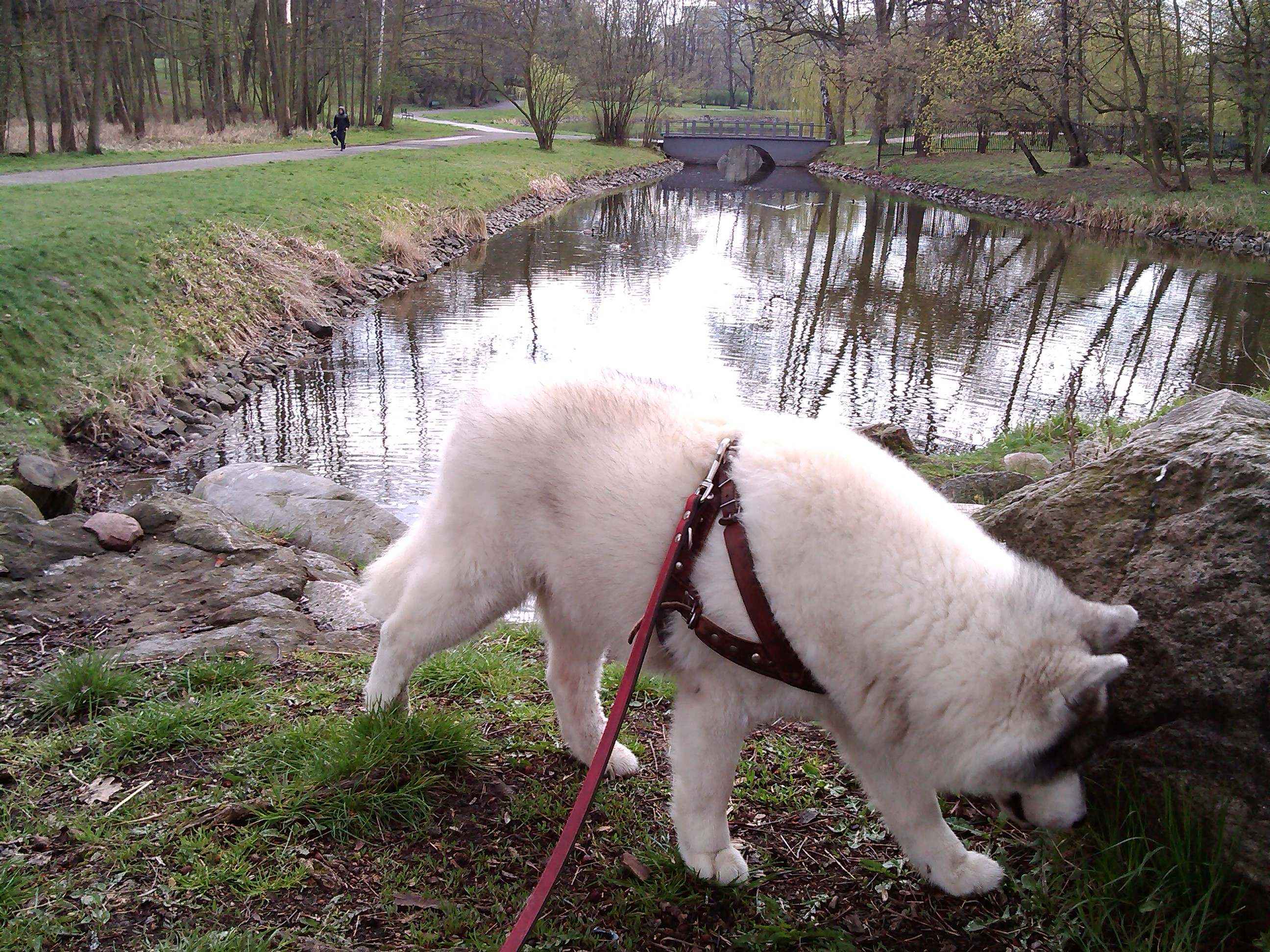 Szaman - urodzinowy spacer