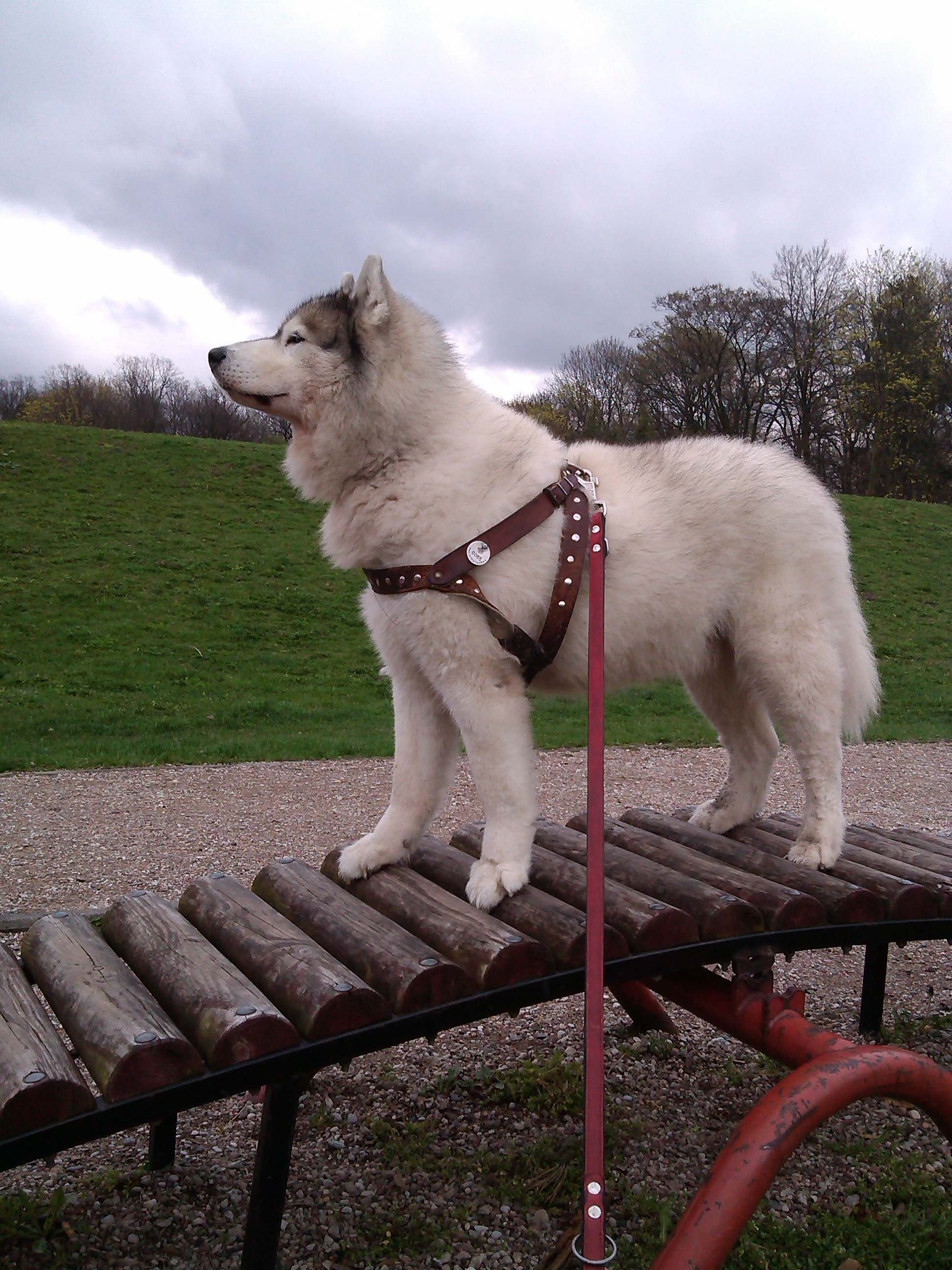 Szaman - urodzinowy spacer