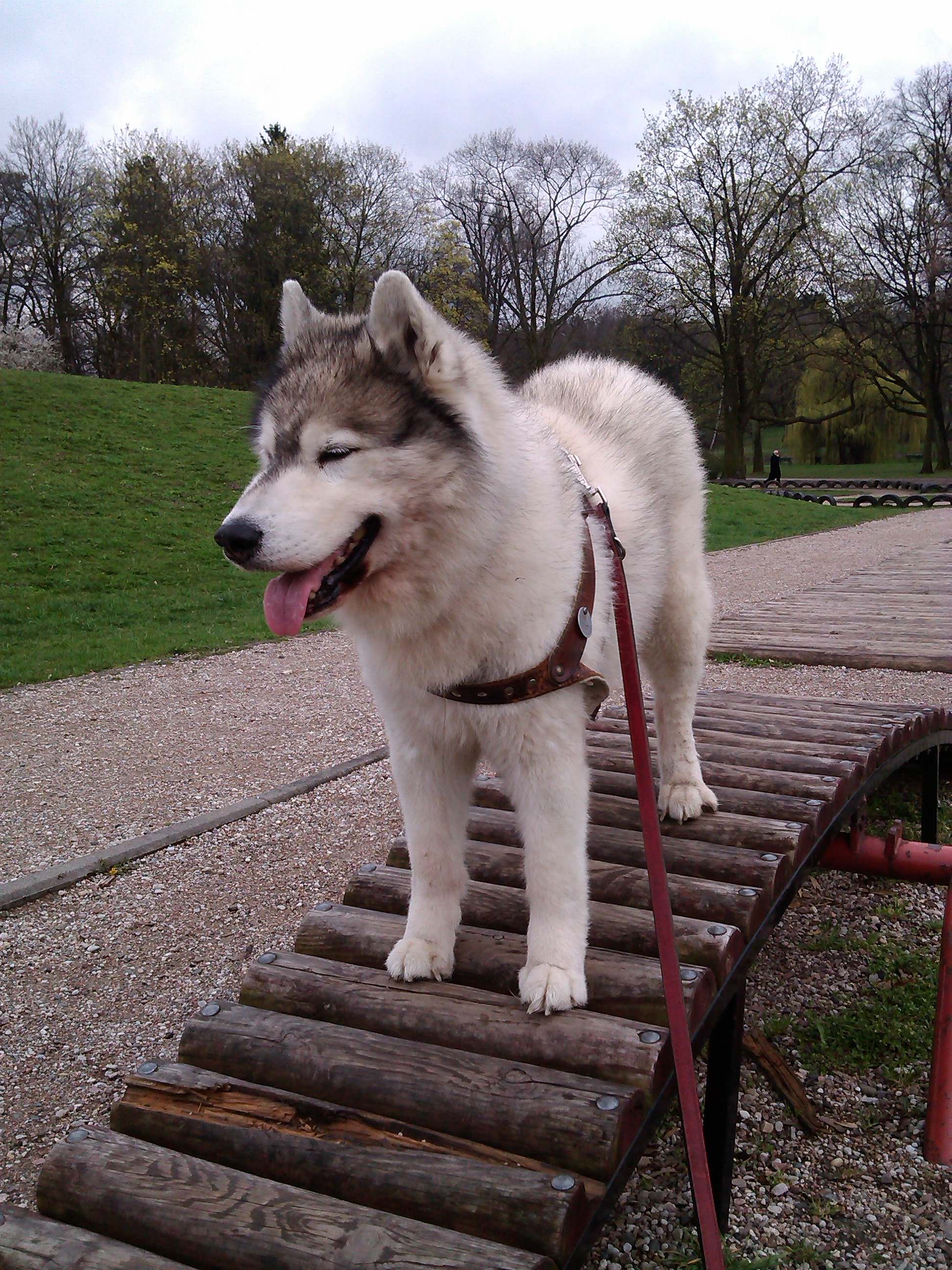 Szaman - urodzinowy spacer