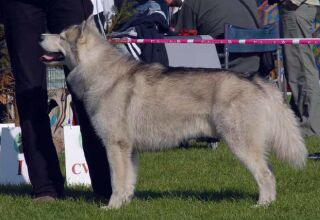 Szaman, fot.�aneta �muda-Kozina