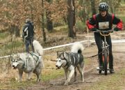 Szymbark 2007, fot.Monika Stawowczyk http://manu.dogomania.pl