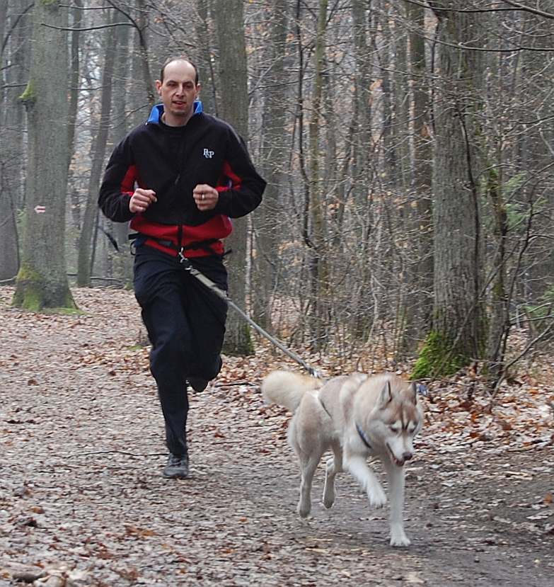 Zora na treningu w �agiewnikach z Micha�em, fot.M.Krzemi�ska