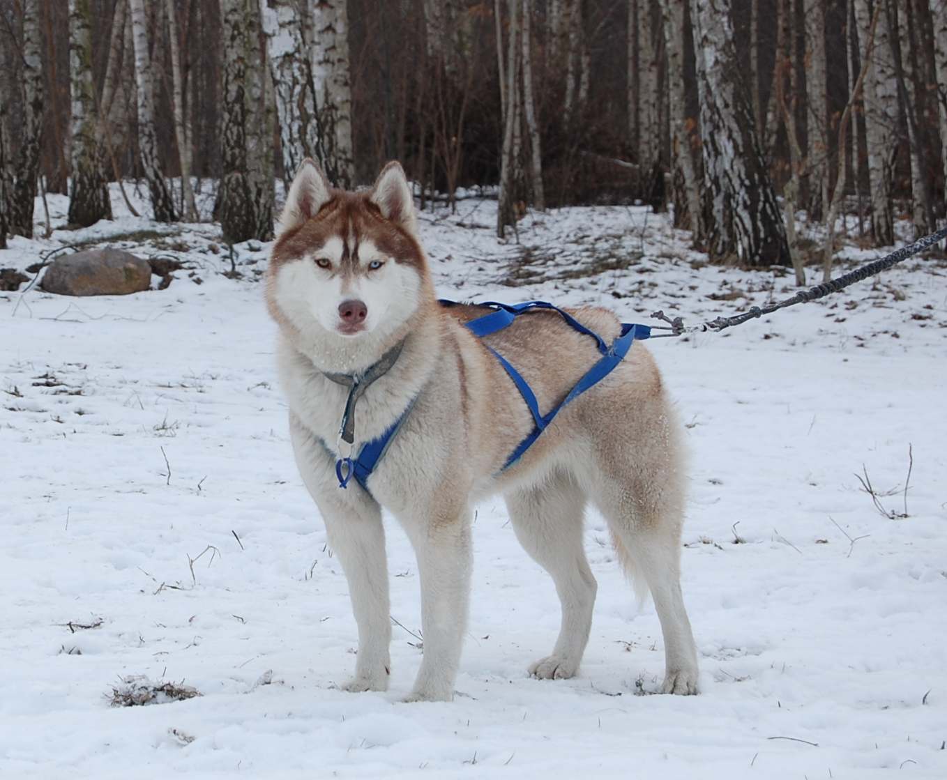 ALEX z Kociej Mafii, fot.M.Krzemi�ska