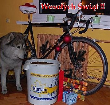 WESO�YCH �WI�T !!