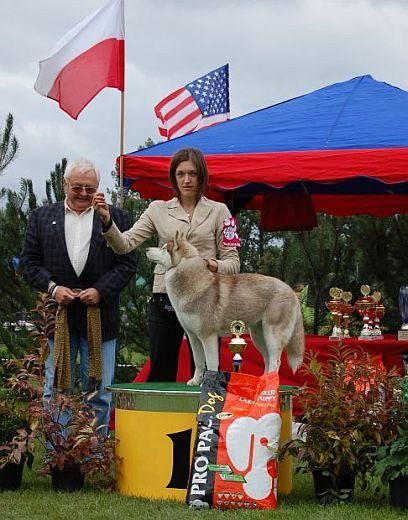 Zora - BIS Puppy Wystawy Klubowej